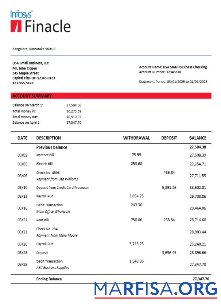 Blank Finacle business firm statement Word and PDF format sample